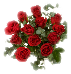 flowers are a wonderful birthday present